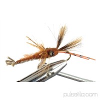 Wild Water Crayfish by, Size 2, Qty. 2   